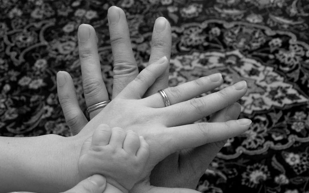 Working with Culture and Families (February 13, 2017)